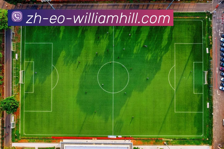 App Interface Preview